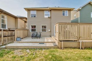 Photo 38: 84 Evanspark Way NW in Calgary: Evanston Detached for sale : MLS®# A2051261