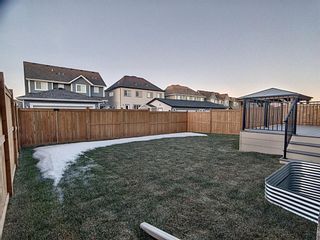 Photo 28: 36 Masters Terrace SE in Calgary: Mahogany Detached for sale : MLS®# A1181520