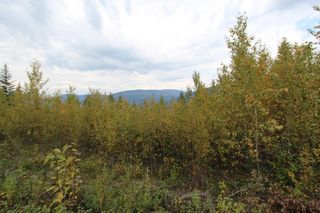 Photo 9: Lot 81 Sunset Drive: Eagle Bay Land Only for sale (Shuswap)  : MLS®# 10186644
