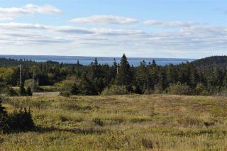 Photo 1: No 217 Highway in Centreville: 401-Digby County Vacant Land for sale (Annapolis Valley)  : MLS®# 201924593
