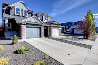 Photo 46: 14 Legacy Close SE in Calgary: Legacy Detached for sale : MLS®# A2003136