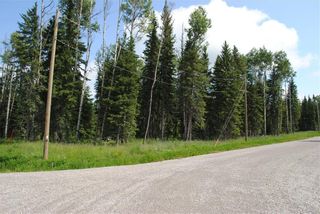 Photo 15: Lot #3 32529 Range Road #52: Rural Mountain View County Residential Land for sale : MLS®# A1255594