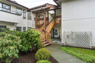 Photo 3: 219 15153 98 Avenue in Surrey: Guildford Townhouse for sale in "Glenwood Village" (North Surrey)  : MLS®# R2233101