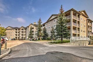 Photo 1: 4414 604 8 Street SW: Airdrie Apartment for sale : MLS®# A2078420