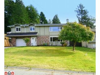Photo 39: 10364 SKAGIT Drive in Delta: Nordel House for sale (N. Delta)  : MLS®# F1226520