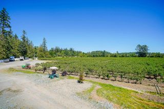 Photo 26: 22926 40 Avenue in Langley: Campbell Valley Agri-Business for sale : MLS®# C8045514
