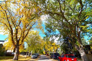 Photo 49: 221 27 Avenue NW in Calgary: Tuxedo Park Semi Detached (Half Duplex) for sale : MLS®# A2101541