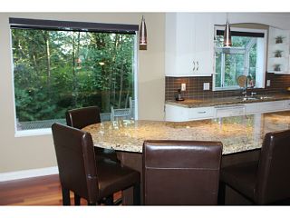 Photo 8: 2872 NASH DR in Coquitlam: Scott Creek House for sale : MLS®# V1026221
