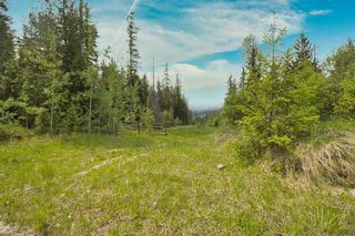 Photo 39: 2495 Samuelson Road, in Sicamous: House for sale : MLS®# 10275346