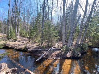 Photo 19: Lot 22 Lakeside Drive in Little Harbour: 108-Rural Pictou County Vacant Land for sale (Northern Region)  : MLS®# 202304936