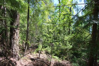 Photo 7: Lot 33 4498 Squilax Anglemont Hwy in Scotch Creek: Land Only for sale : MLS®# 10235084