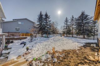 Photo 45: 793 East Lakeview Road: Chestermere Detached for sale : MLS®# A2035193