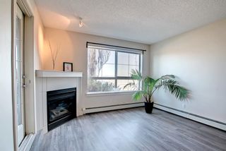 Photo 9: 114 5115 Richard Road SW in Calgary: Lincoln Park Apartment for sale : MLS®# A1207484