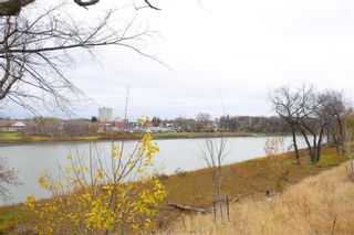 Photo 45: 21 Lawndale Avenue in Winnipeg: Norwood Flats Residential for sale (2B)  : MLS®# 202225852