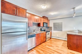 Photo 1: 201 2308 17B Street SW in Calgary: Bankview Apartment for sale : MLS®# A2008364