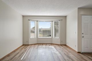 Photo 39: 11 Martinview Crescent NE in Calgary: Martindale Detached for sale : MLS®# A1257379