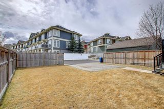 Photo 46: 4 Autumn View SE in Calgary: Auburn Bay Detached for sale : MLS®# A1201867