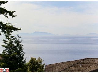 Photo 2: 1302 128TH Street in Surrey: Crescent Bch Ocean Pk. House for sale (South Surrey White Rock)  : MLS®# F1116864