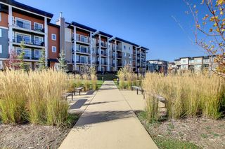 Photo 44: 302 35 Walgrove Walk SE in Calgary: Walden Apartment for sale : MLS®# A2006969