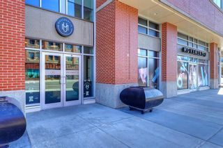 Photo 9: 1033 Regal Crescent NE in Calgary: Renfrew Semi Detached (Half Duplex) for sale : MLS®# A2132414
