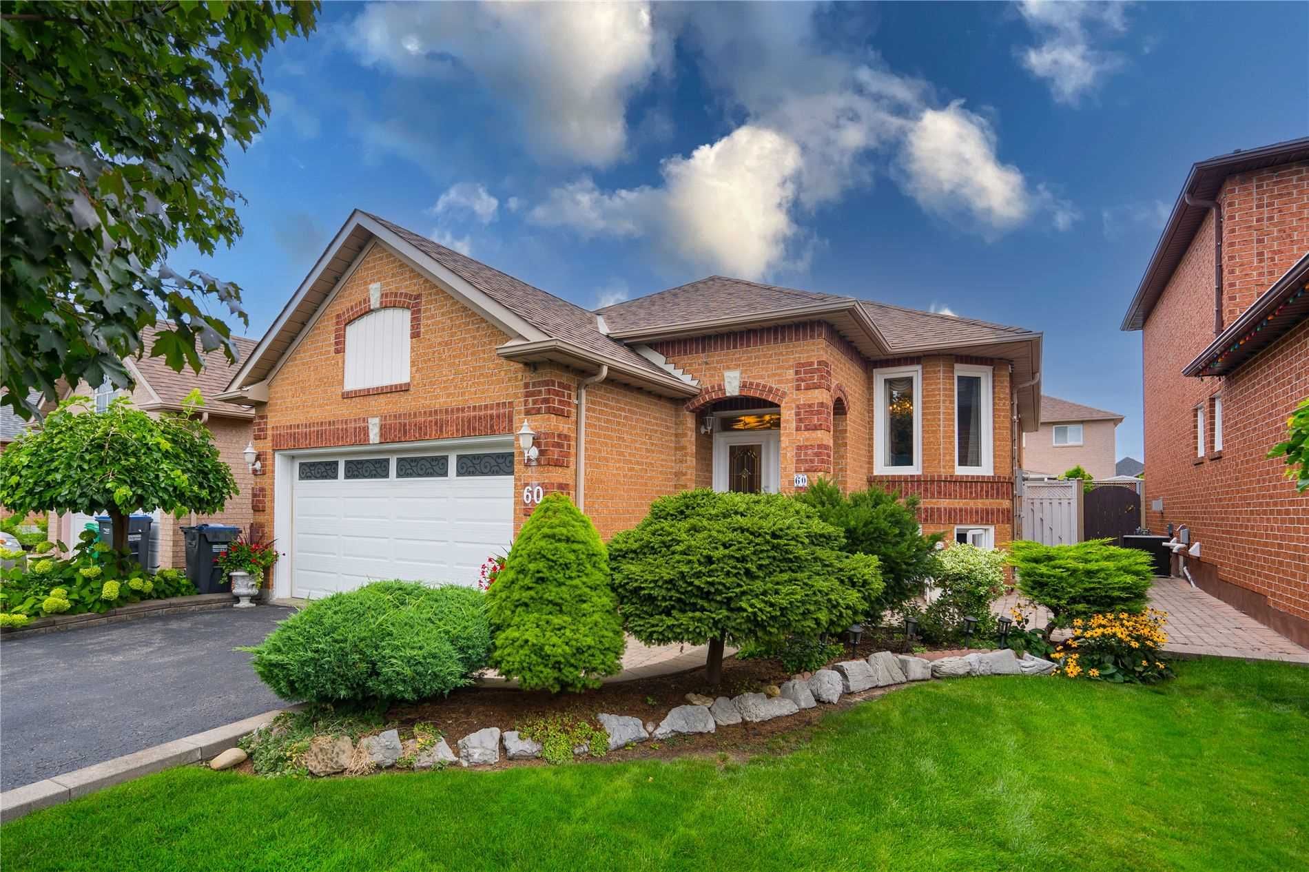 Main Photo: 60 Red Maple Drive in Brampton: Brampton West House (Bungalow-Raised) for sale : MLS®# W5792046