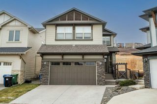 Main Photo: 274 Chaparral Valley Terrace SE in Calgary: Chaparral Detached for sale : MLS®# A2095948