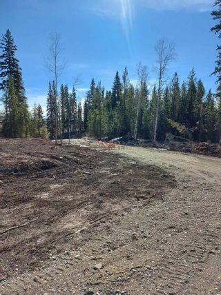 Photo 5: LOT 1 S CARIBOO Highway in Prince George: Pineview Land for sale (PG Rural South)  : MLS®# R2736269