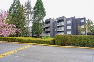Photo 1: 3 5664 200 Street in Langley: Langley City Condo for sale in "LANGLEY VILLAGE" : MLS®# R2848183