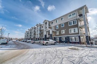 Photo 1: 4102 522 Cranford Drive SE in Calgary: Cranston Apartment for sale : MLS®# A1179496