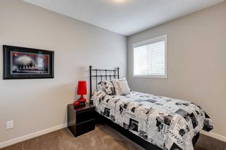 Photo 23: 224 Copperpond Parade SE in Calgary: Copperfield Detached for sale : MLS®# A2072385