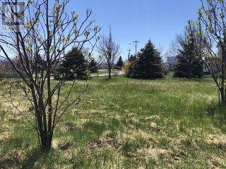 Photo 3: 65 Ohio Drive in Stephenville: Vacant Land for sale : MLS®# 1234009
