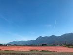 Main Photo: 8450 GIBSON Road in Chilliwack: East Chilliwack Agri-Business for sale : MLS®# C8049150