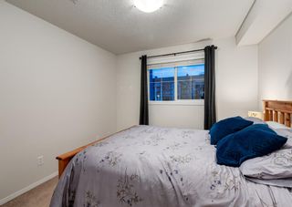 Photo 28: 4219 10 PRESTWICK Bay SE in Calgary: McKenzie Towne Apartment for sale : MLS®# A1219741