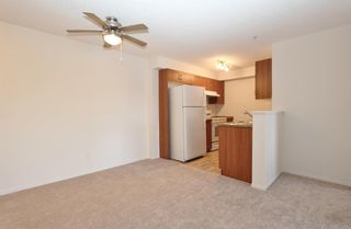 Photo 7: 1318 8 Bridlecrest Drive SW in Calgary: Bridlewood Apartment for sale : MLS®# A2021271