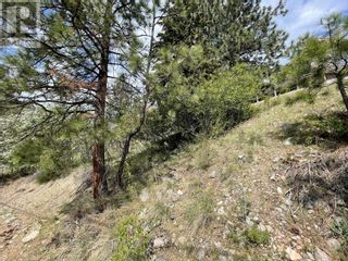 Photo 74: 554 Bluebird Drive in Vernon: Vacant Land for sale : MLS®# 10276995