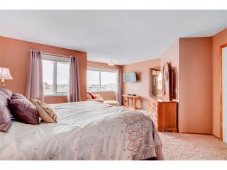 Photo 19: 167 Lakeside Greens Court: Chestermere House for sale : MLS®# C4012387