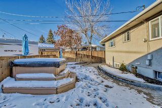 Photo 41: 819 Avonlea Place SE in Calgary: Acadia Detached for sale : MLS®# A2013147