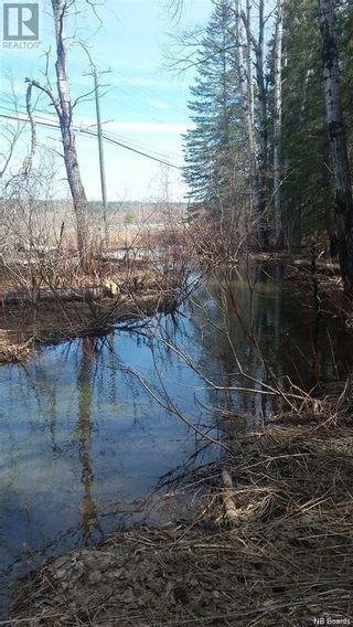 Photo 4: Lot Hwy 8 McCarthy Flats in Ludlow: Vacant Land for sale : MLS®# NB083016