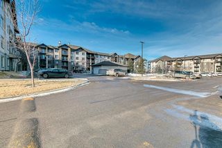 Photo 33: 1122 8 Bridlecrest Drive SW in Calgary: Bridlewood Apartment for sale : MLS®# A1174278