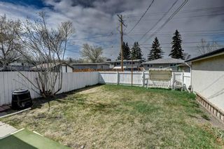 Photo 29: 212 68 Avenue NE in Calgary: Huntington Hills Detached for sale : MLS®# A2047768