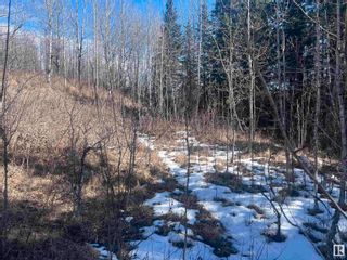 Photo 10: 4-23-63-17 SE: Rural Athabasca County Vacant Lot/Land for sale : MLS®# E4383613