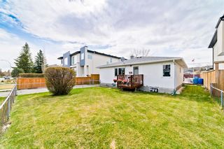 Photo 1: 8531 47 Avenue NW in Calgary: Bowness Detached for sale : MLS®# A1219024