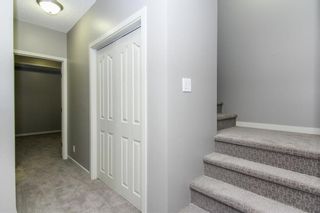 Photo 30: 444 CRANBERRY Circle SE in Calgary: Cranston House for sale : MLS®# C4139155