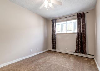 Photo 13: 7 3911 1 Street NE in Calgary: Highland Park Apartment for sale : MLS®# A1219732