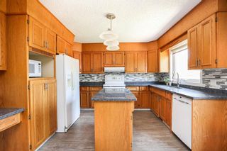 Photo 15: 38 Reese Cove in Winnipeg: Normand Park Residential for sale (2C)  : MLS®# 202211407