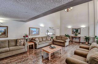 Photo 4: 3316 3000 Millrise Point SW in Calgary: Millrise Apartment for sale : MLS®# A2128348