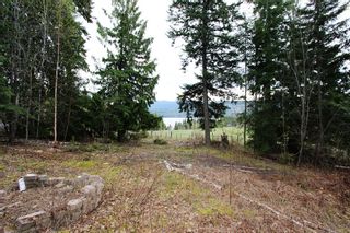 Photo 11: 99 Fraser Crescent: Anglemont Land Only for sale (North Shuswap)  : MLS®# 10097577