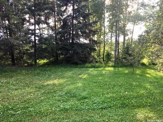 Photo 10: 86 Gilbert Street in Big River: Lot/Land for sale : MLS®# SK905747