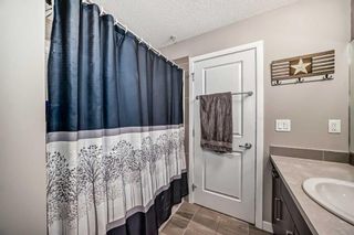 Photo 27: 202 200 Cranfield Common SE in Calgary: Cranston Apartment for sale : MLS®# A2133380