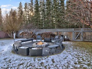 Photo 8: 7 Larch Crescent: Canmore Detached for sale : MLS®# A2094465
